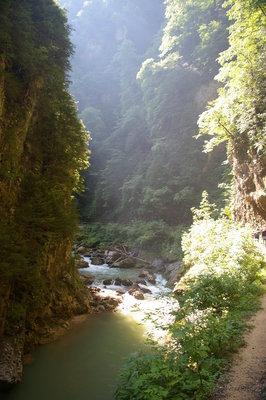 IMGP0703.JPG