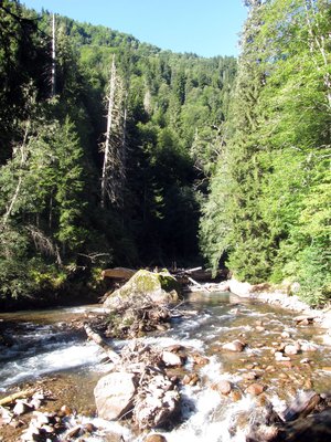 IMG_0538.JPG