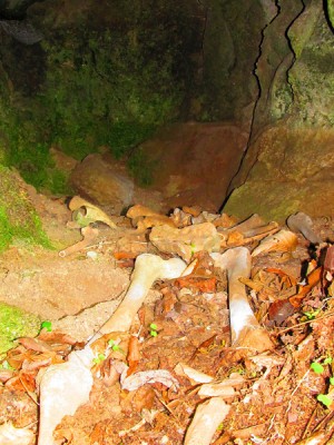 107.JPG (402.9 КБ) Просмотров: 43327 107.JPG