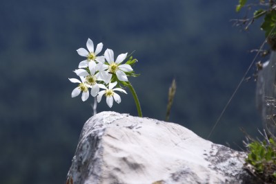 DSC_7946t4000.jpg (2.35 МБ) Просмотров: 11950 DSC_7946t4000.jpg